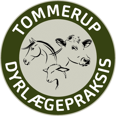 Tommerup Dyrlægepraksis ApS